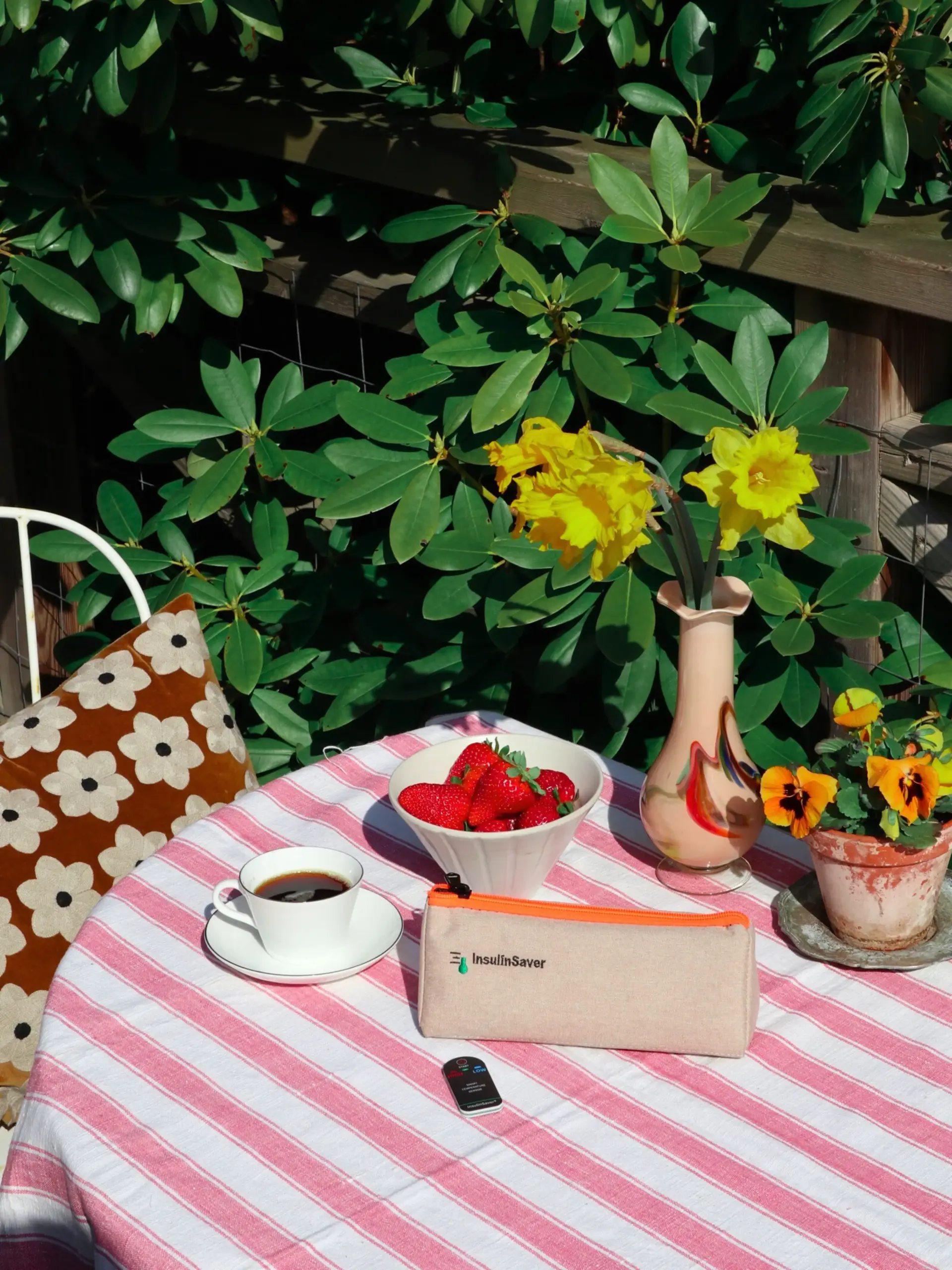 The Bag 1.0 - Imagen 4